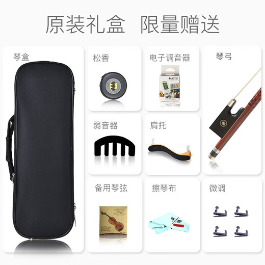 Taishu TV-010 Importé European Handmade Violin Professionnel Pure Enfants faits à la main pour débutants jouant au violon 1/8 Dark Brown adapté à la hauteur 105-120cm