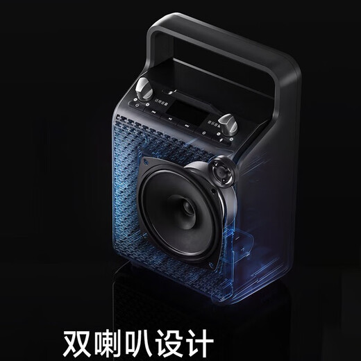 Edifier (EDIFIER) PP205 portable Bluetooth speaker, karaoke speaker, square dance speaker, stage conference teaching amplifier
