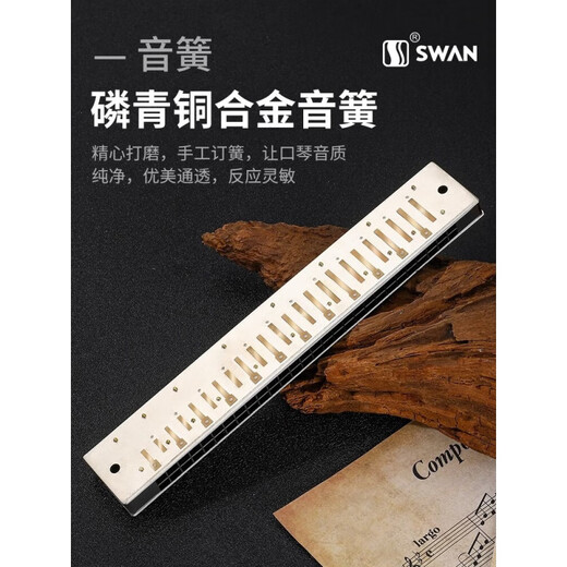 Swan (Swan) allemand Gong Gong 28 trous Accent Harmonica Performance Niveau Polyphonique 24 trous Les débutants pour adultes Performance professionnelle de 28 trous Gol-trous polyphonique + cadeaux complets de cadeaux