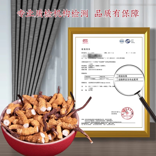 Support quality inspection 100 grams to get 10 grams of big broken grass Authentic Cordyceps sinensis Cordyceps sinensis Cordyceps sinensis and self-eating tonic Cordyceps sinensis Cordyceps sinensis 10 grams to get one gram