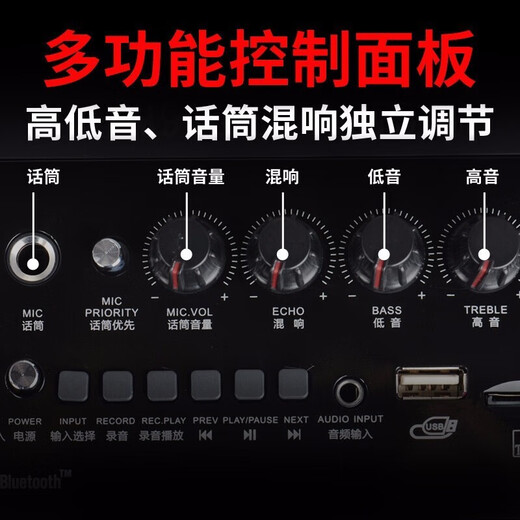 Malata outdoor audio square dance 6.5-inch portable wireless Bluetooth speaker charging with microphone electric acoustic guitar folk singing instrument speaker