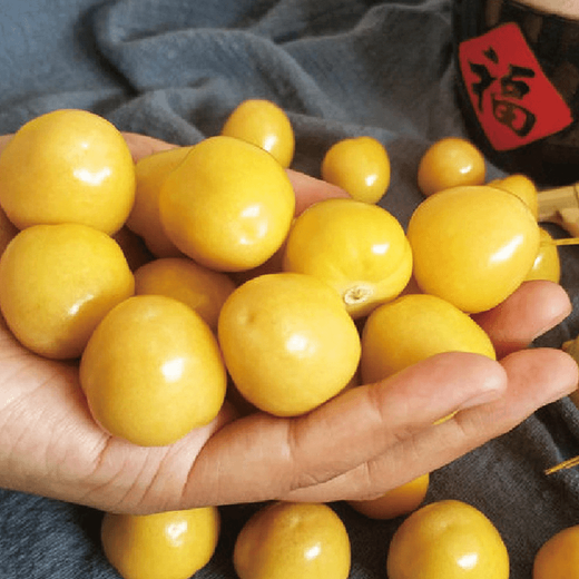 Bohui mushroom seeds, yellow mushroom seeds, yellow mushroom seeds, berry skin, thick flesh, high sweetness, easy to plant in all seasons, 4 packs of mushroom seeds, 6 packs, free fertilizer