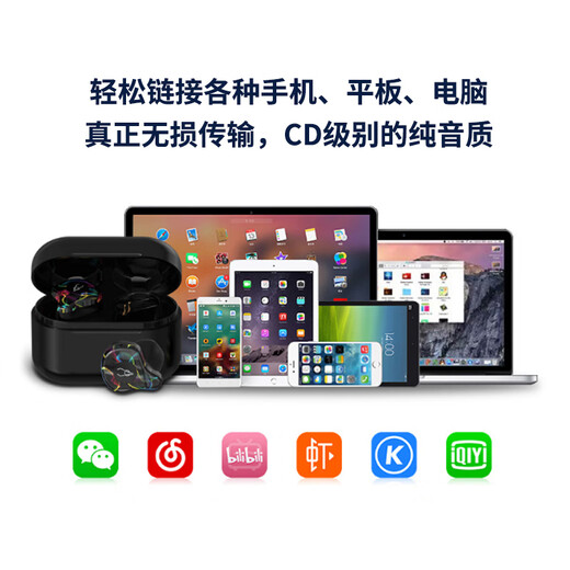 传世经典 黑金纪念版LM1875 LM3886功放整机 家用音响HIFI蓝牙5.0 LM1875整机带蓝牙