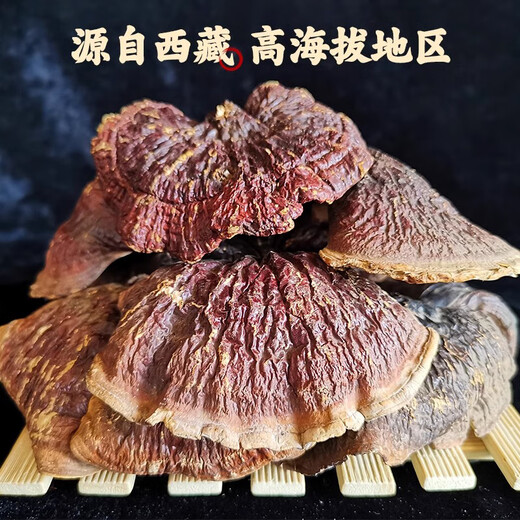 Юань клан Pure Wild Ganoderma lucidum, тибетские сухие товары, красный циркон Linzhi, срезы с золотым краем, 500 г чернокожих, 500 г туфли-желтого цвета в течение более 20 лет.