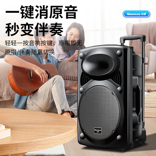 Newman B12 Square Dance 12-inch Outdoor High Volume Bluetooth Trolley Speaker Portable Electric Acoustic Guitar Singing Instrument Speaker Performance K Song Subwoofer Floor Stall Speaker Adapter