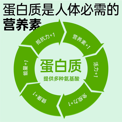 红桃K蛋白粉乳清蛋白质粉大豆蛋白粉营养粉 3罐1365g【家庭组合装】