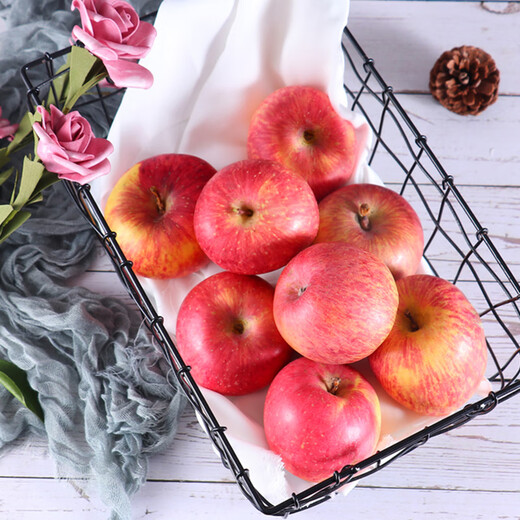 Jingxiansheng Yantai Red Fuji Apple, net weight 5.2Jin Jin is equal to 0.5kg/12 pieces, single fruit 190-240g, fruit gift box