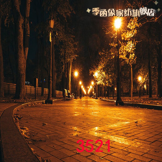 主播直播间室外夜间风景路灯农村小路风景布3d立体网红直播背景布 1.5米宽2米高 3519