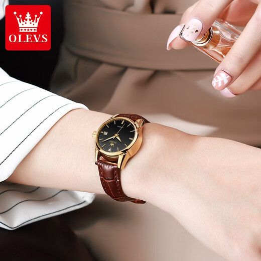 欧利时（OLEVS）瑞士认证品牌手表女士机械表全自动简约气质女表潮流时尚高档腕表 OLEVS-6629女-棕皮黑面