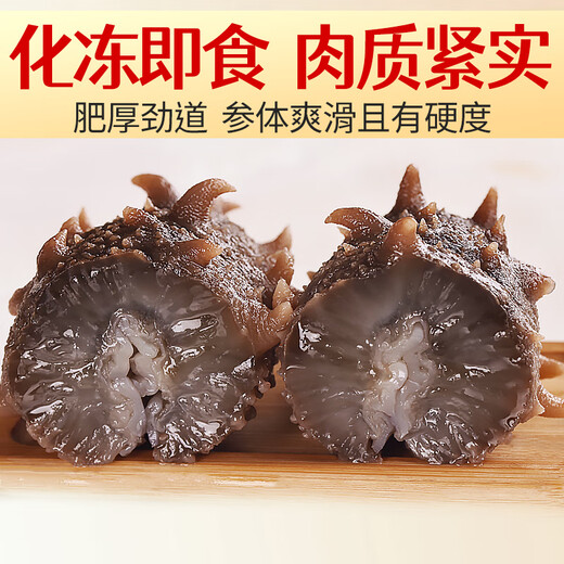 Three Dolphins Ready-to-Eat Sea Cucumber Dalian Sea Cucumber Single Package Liao Apostichopus Apostichopus Fresh Sea Cucumber 8-12 Pieces 500g