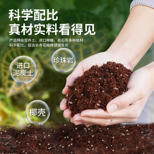 Dewoduo longevity flower special nutrient soil 15L gardening green plant potted flower soil organic composite matrix planting soil