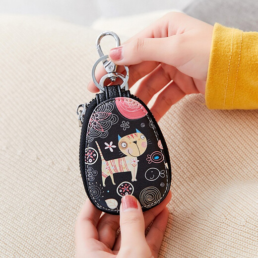 Aspirational neuer allgemeiner Autoschlüsseltasche für Frauen kompakt