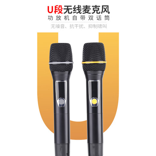 先科（SAST）AV-312V定阻蓝牙功放机大功率发烧级hifi功率放大器 家用KTV卡拉OK家庭影院功放带话筒麦克风 300W