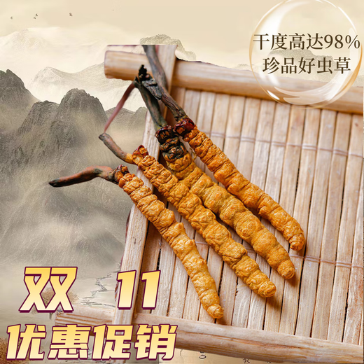 那曲冬虫夏草冬虫夏草西藏那曲虫草2根一克干货冬虫草送礼佳品50根礼盒装 50根礼盒装‘