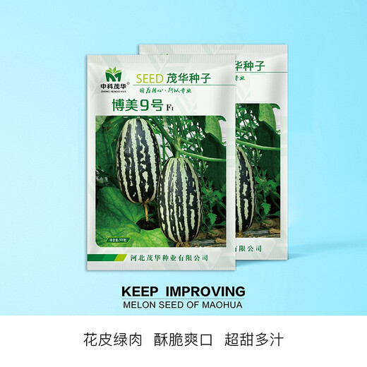 Zhongke Maohua vegetable and fruit seeds Bomei No. 9 melon seeds Huayang Boyang series Bomei 91 melon seeds 94 super sweet Bomei No. 9 50 capsules/bag trial planting pack