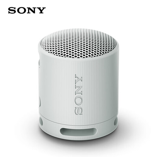 Sony (SONY) SRS-XB100 Wireless Bluetooth Speaker Mini Portable Audio Outdoor Subwoofer Heavy Bass 16 Hours Battery Life IP67 Waterproof and Dustproof Gift for Boyfriend, Girlfriend and Student Gray