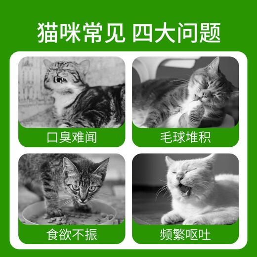 Lion Doctor Hydroponic Cat Grass Set Wheat Seed Cat Snacks Lazy Potted Hair Removal Ball Natural Cat Grass Self-Grown Fresh Grass Special Offer 4 bags as low as 2.5/bag
