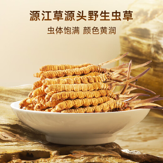 Caja de regalo de alta gama de Yuanjiang Grass Tíbet Nagqu Cordyceps Tonic Nutricional Productos nutricionales para padres y ancianos [Naqu Wild] 4 Roots/G 20g Caja de regalo de corteza