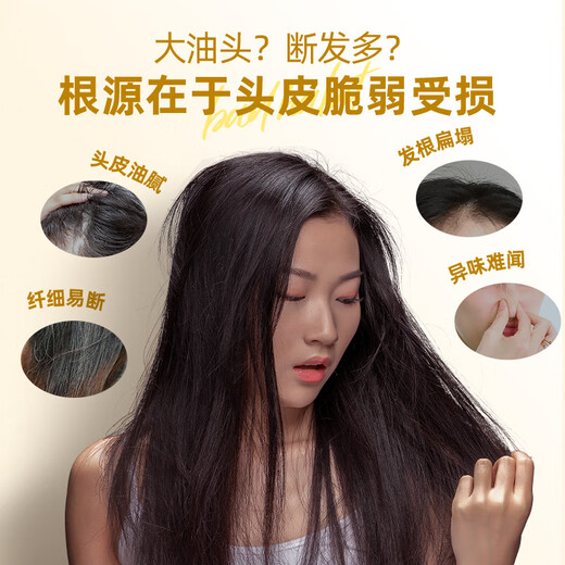 Yangyuanqing Shampoo Yunnan Baiyao Ginger Shampoo 500ml + Pu'er Tea Aroma Shampoo 500ml