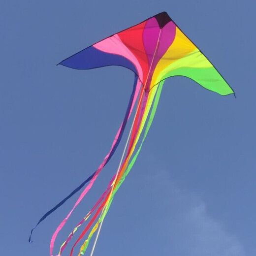 Dad and Mom Kite Large Children Weifang Adult Extra Large Colorful Phoenix Kite Roulette Wheel High-end Parent-child Outdoor Toy Birthday Gift