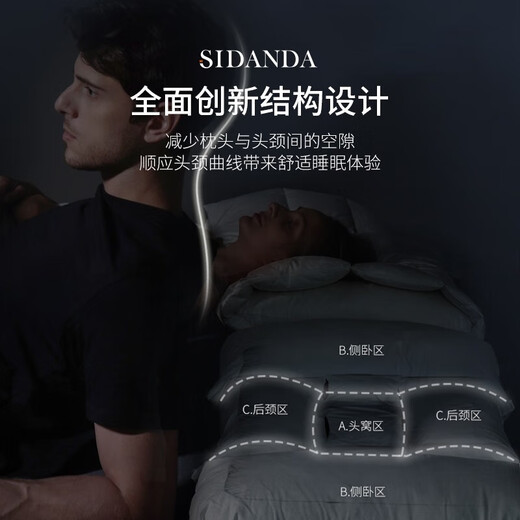 SIDANDA Pillow Core German Red Dot Award Cervical Pillow Antibacterial 95% Goose Down Pillow Down Pillow Medium Soft Pillow 48*74cm