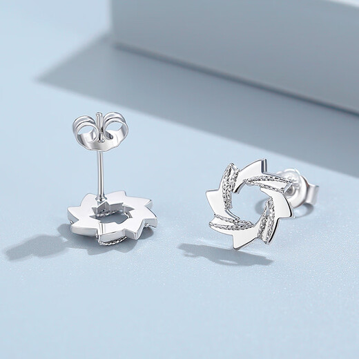 TTMIX platinum pt950 earrings for women, white gold whirling windmill earrings, shiny earrings for my wife 3.3-3.5g