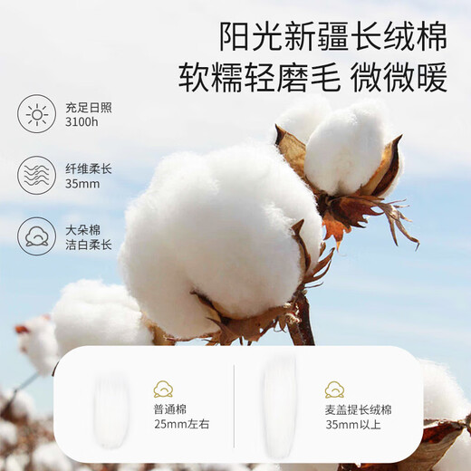 佳韵宝（Joyourbaby）孕妇枕h型多功能护腰侧睡枕孕妇抱枕靠枕枕头睡觉神器 缤粉雪原