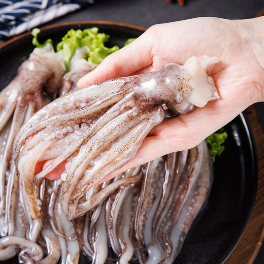 Megaka Squid Head Net Weight 1Jin Jin is equal to 0.5kg Squid Tentacles Squid Claws Barbecue Ingredients Teppanyaki Squid