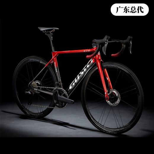 SUNPEED高士特公路车GUSTO RANGER EVO碳纤维碟刹电变破风气动自行车 车队金 更多尺码请联系客服确认 电变7170铝轮铝把