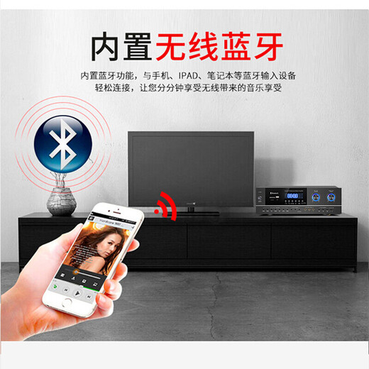 先科（SAST）PA-315V  功放机大功率家用KTV家庭影院卡拉OK家用客厅K歌音响音箱功率放大器【光纤同轴版】