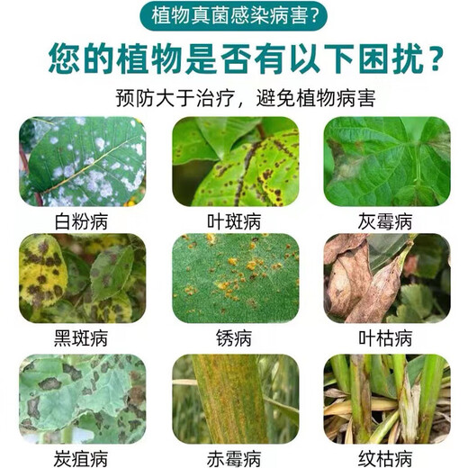 Plant carbendazim fungicide for flowers, special bactericidal flower spray, powdery mildew, anthracnose insecticide, single bottle 500ml with nozzle