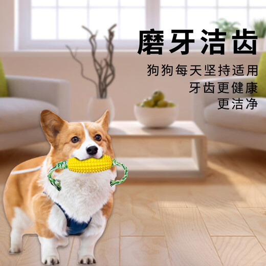 Cute star pet dog toy, teeth grinding corn cob, tooth cleaning, oral cleaning, pet supplies for large, medium and small dogs and puppies