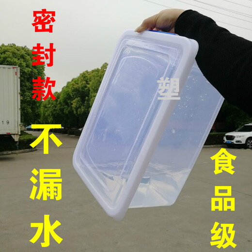 
Zeyi Extra Large Capacity Large Thickened Food Refrigerated Refrigerated Plastic Box Dry Storage Box Sealed Fresh Preservation Box [6Jin[Jin is equal to 0.5 kg]]28*19*9cm [9905]