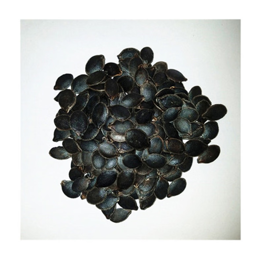 Grafted rootstock black pumpkin seeds grafted seeds black pumpkin seeds rootstock seeds black pumpkin seeds black seeds 250 grams
