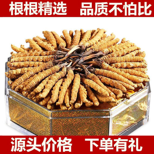 Beijing Tongrentang Tong Qualidad 2024 Cordyceps de primer término 10 Cajas de regalo para Cordyceps rotos Productos secos enteros SF Express Select 2 varillas/g 20 Packle de tubería de lujo Box de regalo