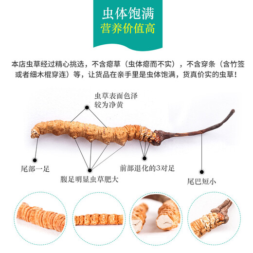 3 Stücke pro Gramm der Xiongfeng Road Cordyceps sinensis Geschenkbox