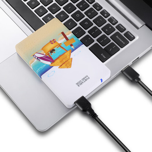 BLUEENDLESS mobile hard drive 2.5-inch file data backup storage safe high-speed shockproof USB3.0 TV hard drive beach 640GB