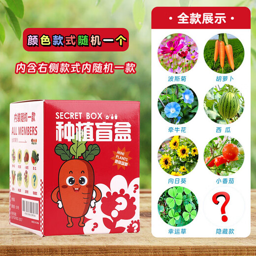 
Xubeile Kindergarten Children's Birthday Souvenir Primary School Students' Opening Festival Gifts for the Whole Class Sharing Practical Award Gifts Return Gifts