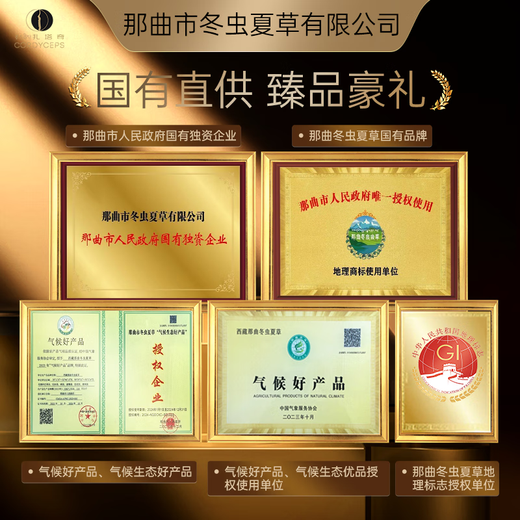 那曲冬虫夏草那曲野生冬虫夏草 滋补高端礼盒 3根/g 营养送长辈补品送领导送礼 【藏源精粹】25根 8.3g
