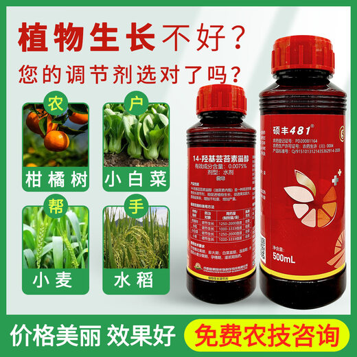 14 Hydroxybrassinolide Sterol Shuofeng 481 Fruit and Vegetable Antidote for Plant Growth Regulator to Preserve Flowers and Fruits 1000ml or 2 bottles of 500ml