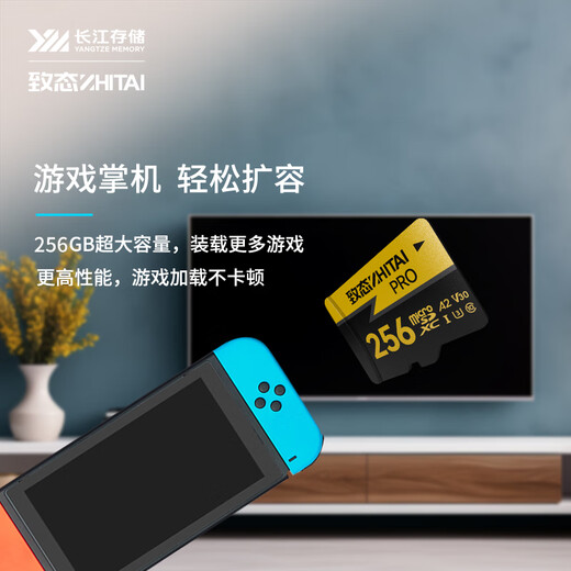 致态（ZhiTai）长江存储 256GB TF（MicroSD）内存卡 U3 V30 A2 PRO专业高速存储卡 读速170MB/s 无人机运动相机