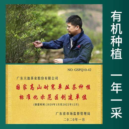 1392 Tianchi Tea Industry Phoenix Dantong [Jinshan] Selección y evaluación y evaluación Chaozhou Dancong Old Teng Milan Oriental Red Song Sprout Qingxin Hongshan 14G*1 Box