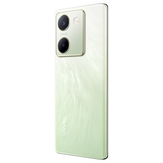 vivo X100 蓝晶×天玑9300 蓝海电池 蔡司长焦 120W双芯闪充 新品5G拍照全网通手机 琉云青丨Y100（骁龙695） 12GB+512GB