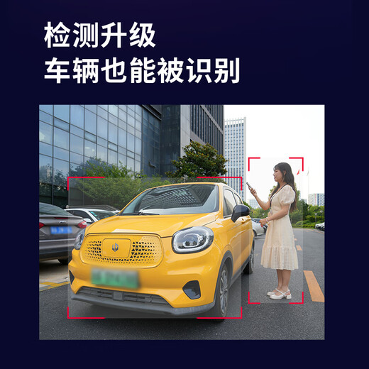 dahua大华无线摄像头AI双摄1000万全彩夜视360度全景无死角室外手机远程语音对讲监控器P10A-E2IL带256G