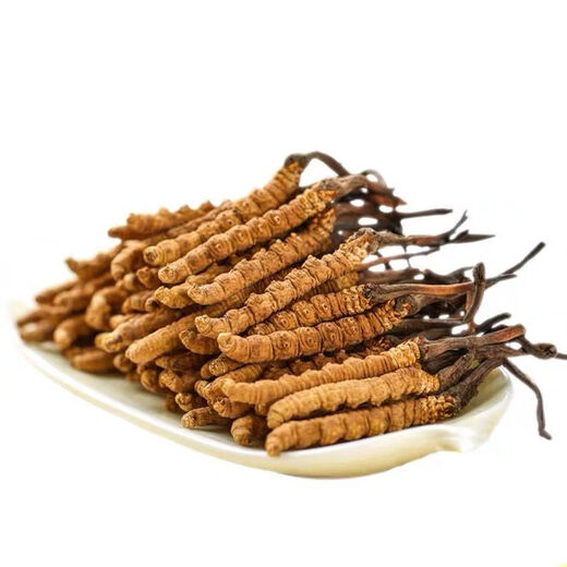 Baiwanji authentic Cordyceps sinensis 3-4 roots/g Cordyceps sinensis Cordyceps gift box price 1 root