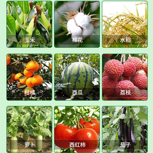 3% sodium nitrate and amine fresh ester compound sodium nitrate and amine fresh fat vegetable tomato root-promoting plant growth regulator pesticide 500g