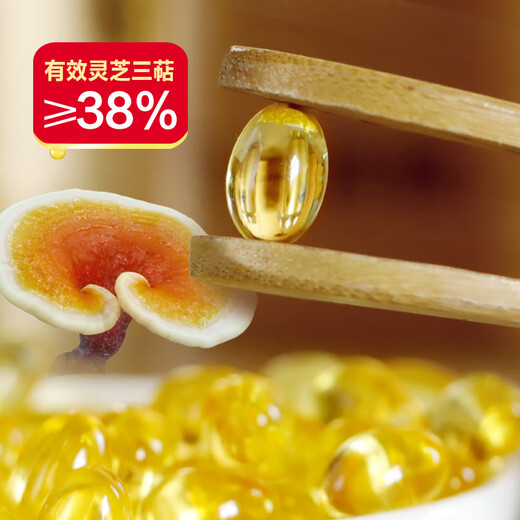 Huangshan Yunle Breaking Wall Ganoderma lucidum spore pulverkapseln ganoderma lucidum spore Öl verbessert die Geschenkbox des Immunität, um Ältesten 0,33 g/Partikel*60/Box*4 Kisten zu geben