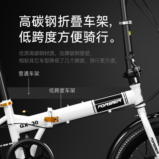 FOREVER Folding Bikes for Children and Children, Mountain Bike Portable Shimano Speed ​​Bike Silver Gray 20 Inch Single Speed