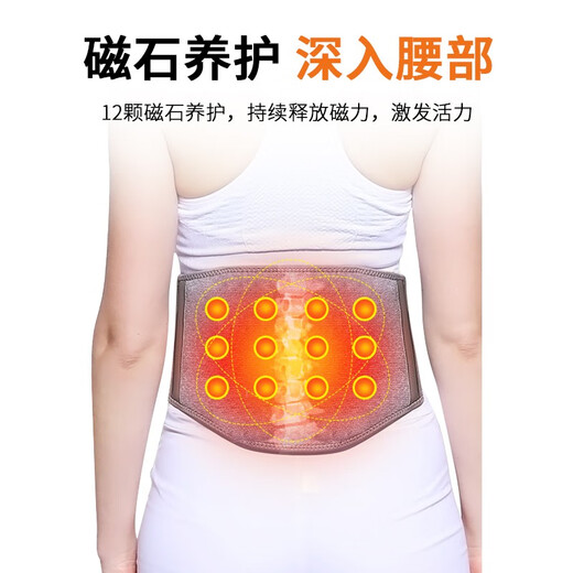 南极人（Nanjiren）护腰带自发热保暖腰间盘突出劳损夏季薄款久坐久站腰托男女士专用 【四季推荐】自发热保暖款 L（腰围86-103cm）建议120-150斤