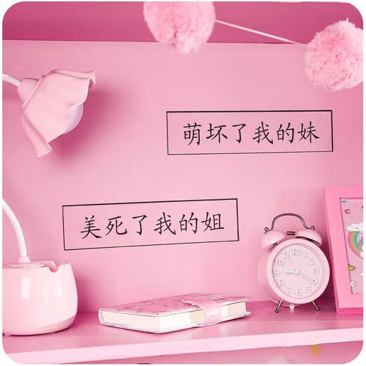 湖绵台灯学习少女心学生宿舍可充电插电可爱笔 可爱笔筒 粉色花朵